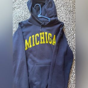 Michigan State Hoodie